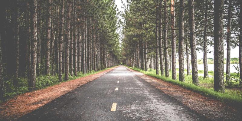 健康养生与美容护肤的融合之道：由内而外焕发光彩