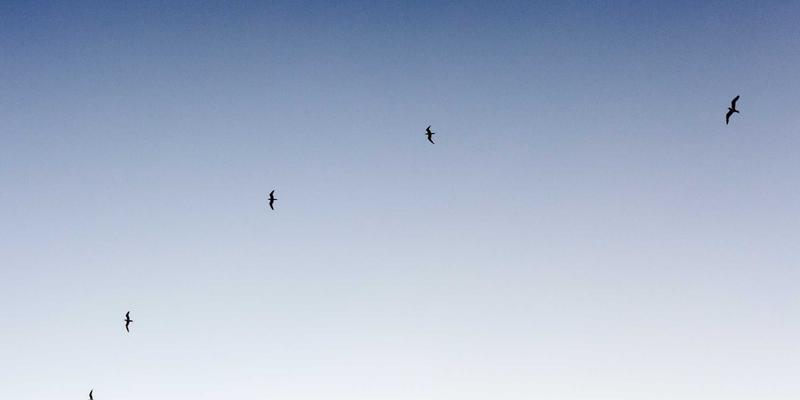 养生方法与美容护肤的完美融合：由内而外焕发健康光彩