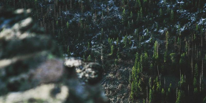 天心芒与健康养生：解锁自然美容护肤的新密码