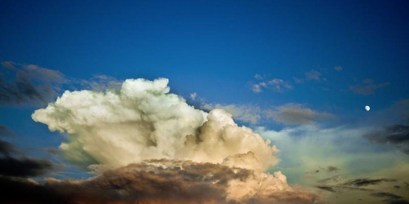 天心芒：融合健康养生与美容护肤的东方智慧