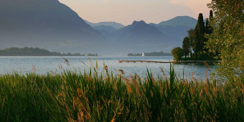 如何科学判断自己的肤质？天心芒养生法教你动态管理肌肤健康