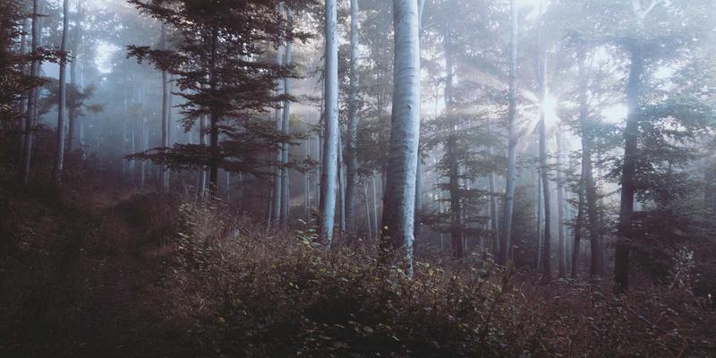 屏障修复全流程：针对过度清洁与医美后的脆弱肌肤，重拾健康光彩