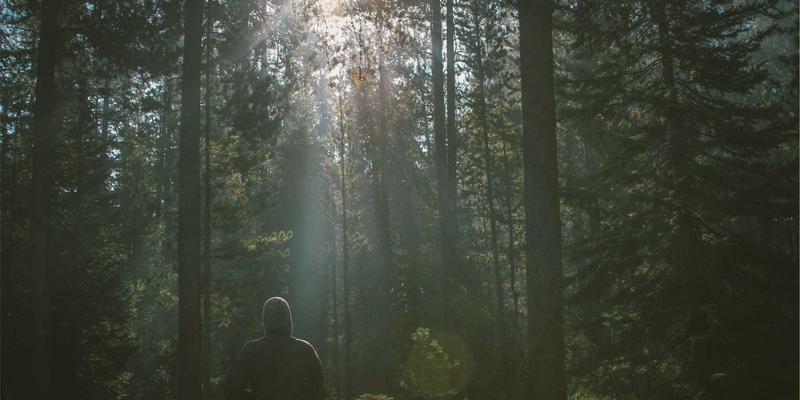 敏感肌如何建立耐受？从成分浓度到使用频率的渐进式护肤指南，解锁健康养生新方法