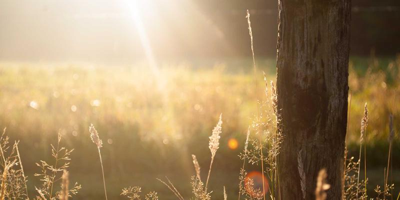 敏感肌换季维稳全攻略：自然护肤与健康养生，告别泛红刺痛