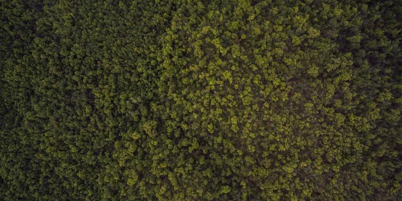 早C晚A护肤公式详解：用原型VC与A醇开启自然护肤新篇章，天心芒教你健康养生之道