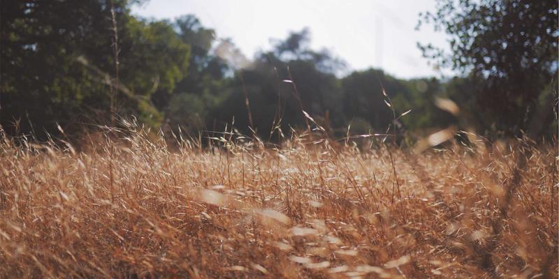 男士专属护肤流程解析：从清洁到抗老的简约高效方案，重塑健康养生与自然护肤新理念