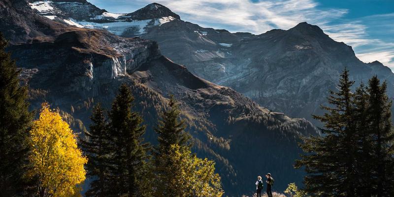 美容仪选购指南：射频、微电流、LED光疗哪种才有效？解锁自然护肤的养生方法