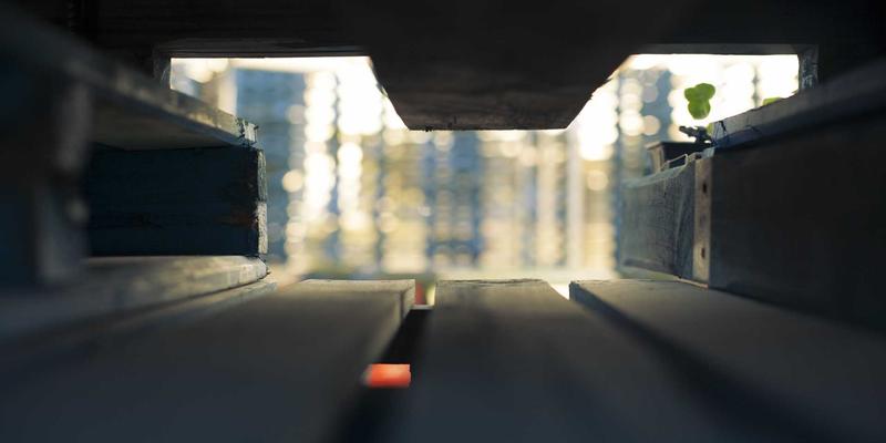 美容护肤89：融合健康养生智慧的自然护肤新哲学