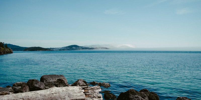 美容护肤入门：从健康养生到自然护肤，探索天心芒的焕肤奥秘