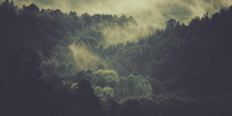 美容护肤必修课：3步看懂护肤品成分表，自然护肤不踩雷