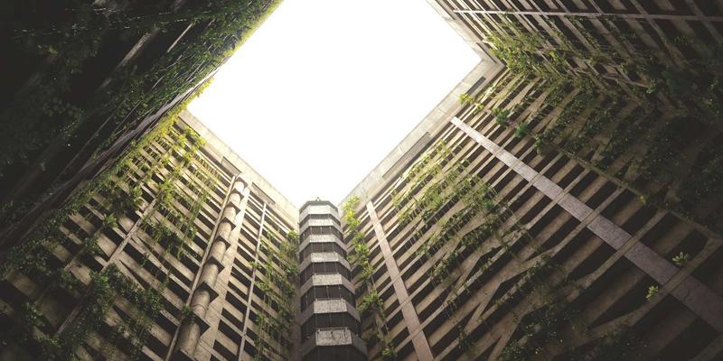 自然护肤与健康养生：内外兼修的现代美容哲学